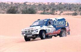 NISSAN Terrano 3L